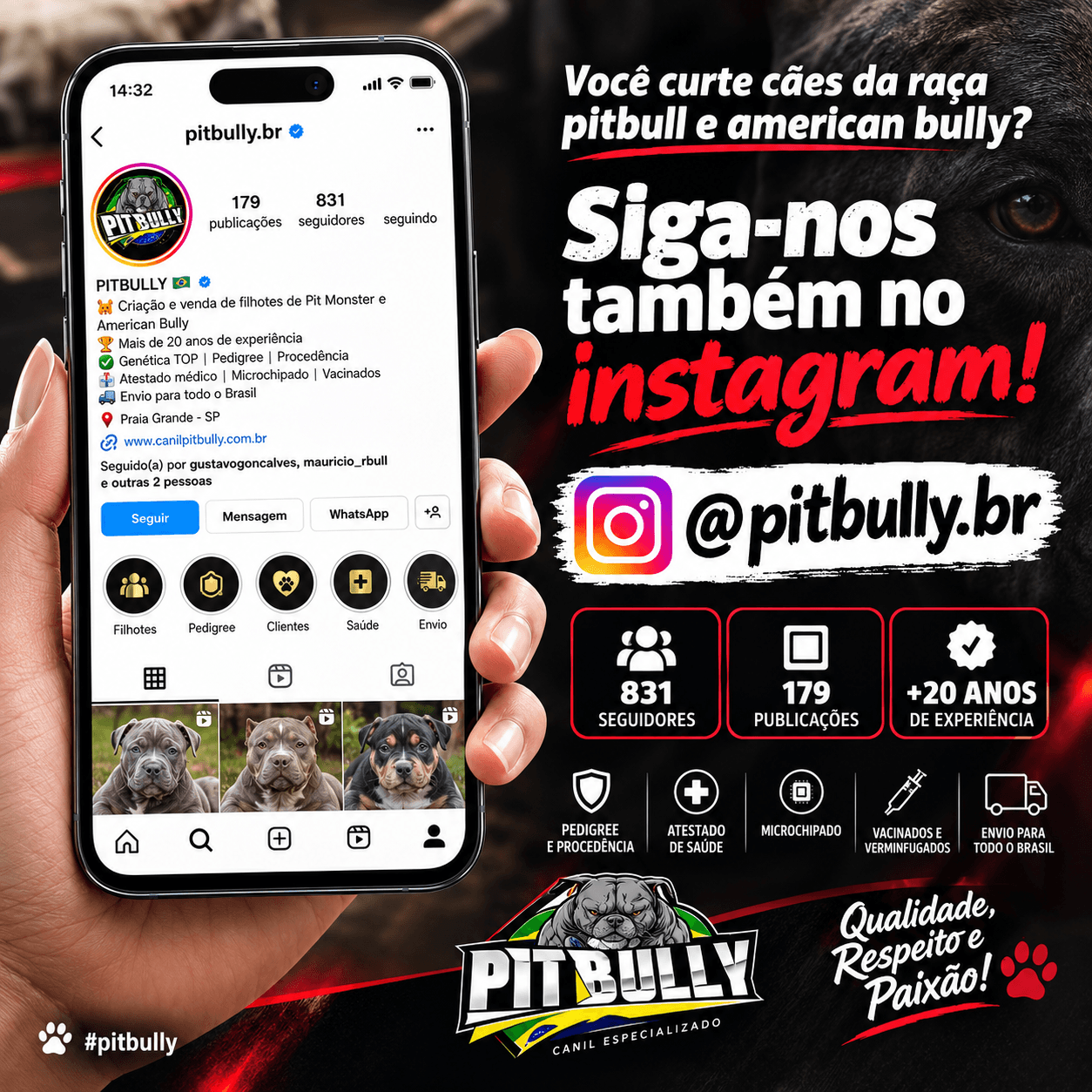 Siga @pitbully.br !